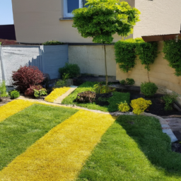 Abattage : enlevez les arbres dangereux ou indésirables de votre jardin en toute sécurité La Crau